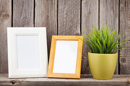 Blank photo frames and plant on shelf in front of wooden wall