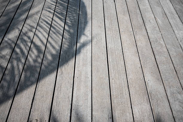 istock Wooden floor texture background with palm leafs shadow 509472126
