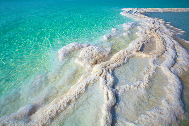 textura del mar muerto. sal de la costa - dead sea fotografías e imágenes de stock