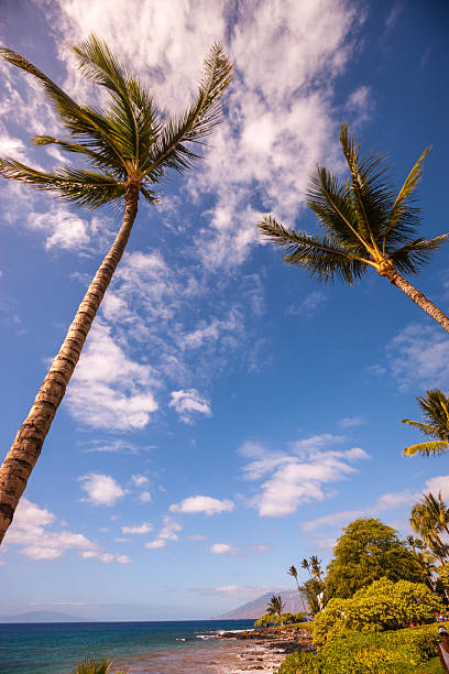 Wailea beach, Hawaii, USA