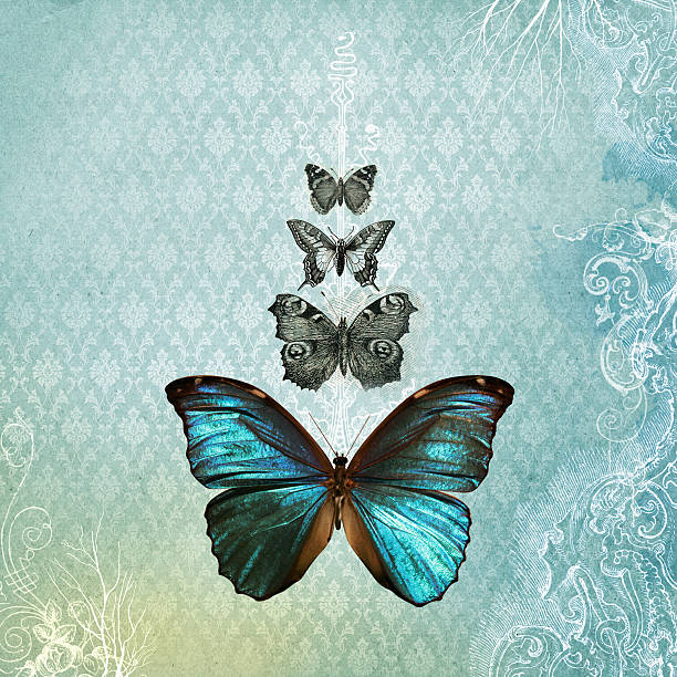 istock old, yellowed paper background with butterfly and flowers 509477728