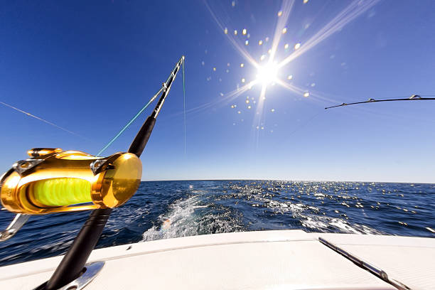 120+ Big Game Fishing Pole Stock Photos, Pictures & Royalty-Free