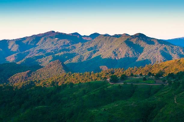 istock Panoramic view misty morning sunrise in mountain at north Thailand 509481762