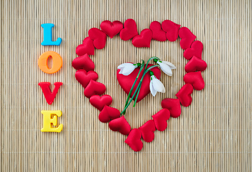 Red heart with snowdrop flowers on it and word LOVE from colored letters.