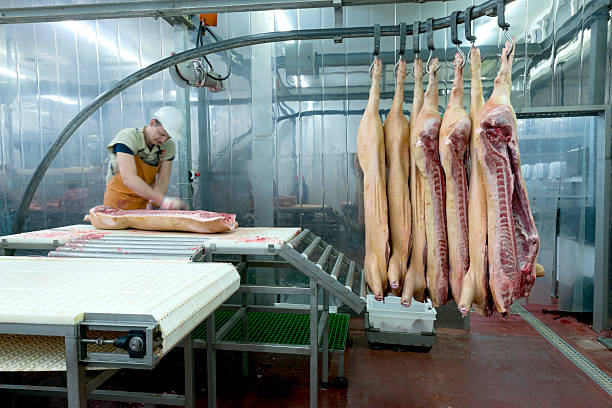butcher 잘라냄 고기류 굴절률은 식품 가공 공장 - butcher butchers shop slaughterhouse hook 뉴스 사진 이미지