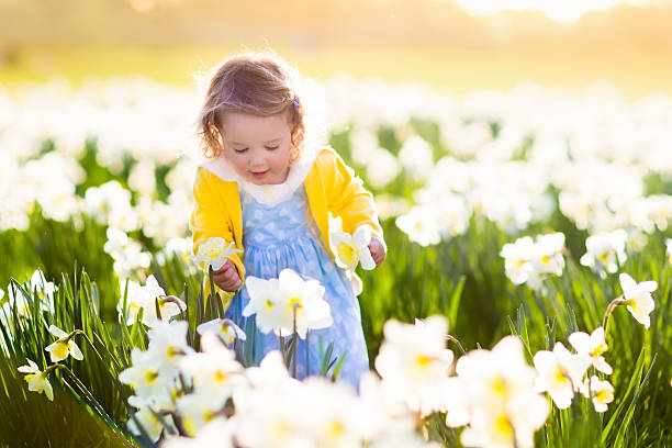 istock Little girl in daffodil field 509483984