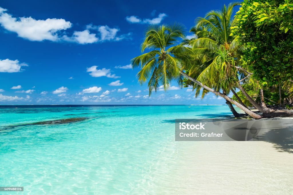paradise beach - Lizenzfrei Strand Stock-Foto
