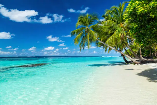 Photo of paradise beach