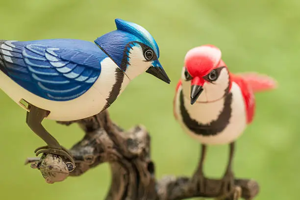 Photo of Mechanical birds.