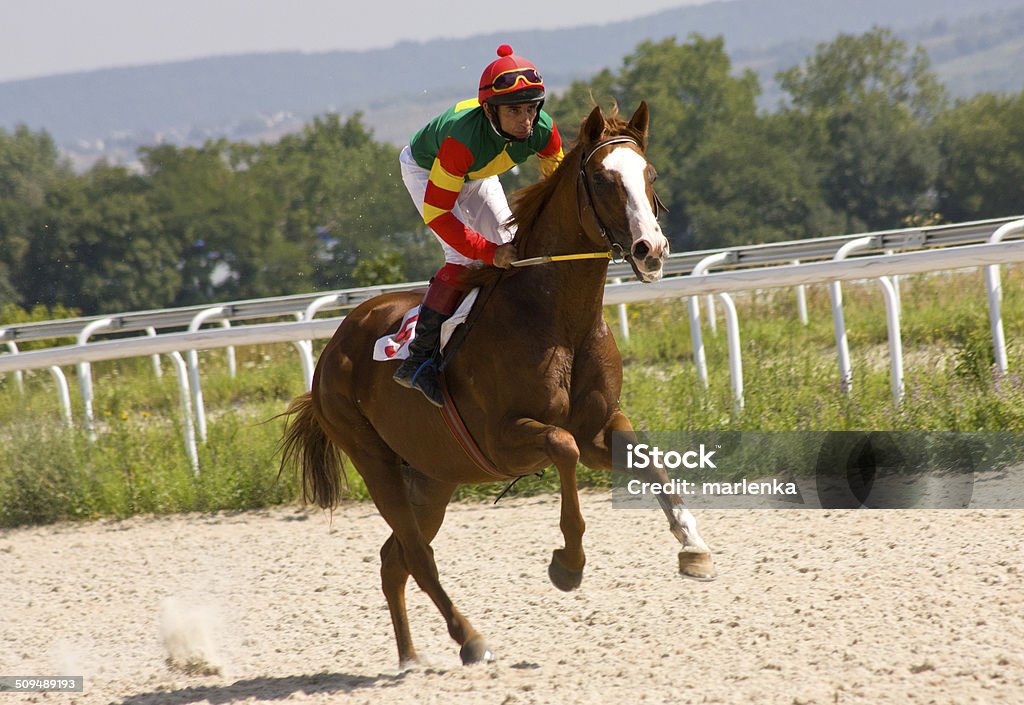 Horse Pferderennen - Lizenzfrei Braun Stock-Foto Horse Pferderennen - Lizenzfrei Braun Stock-Foto