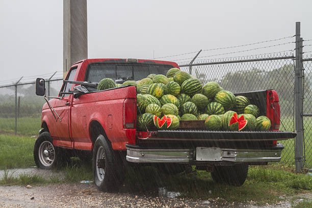 Truckload of Watermelons for sale in a rainy day.