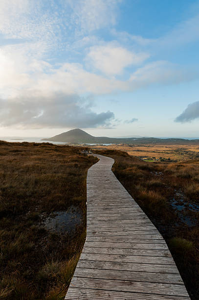 Wooden path in the silence of Connemara stock photo