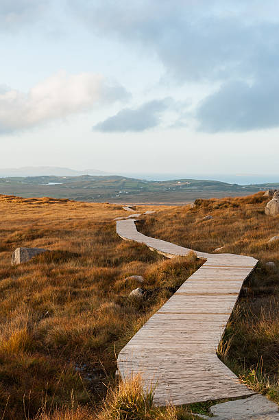 Wooden path on the hills of the Connemara National park stock photo