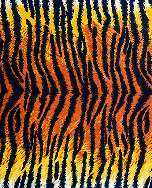 istock texture of tiger fabric stripes 509489635