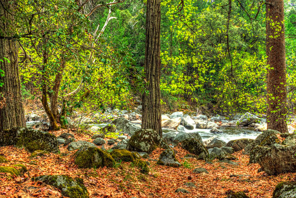 istock Merced River near mirror lake Yosemite 509491051