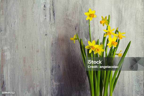 Yellow Daffodils On Wooden Background Stock Photo - Download Image Now - Celebration, Daffodil, Flower