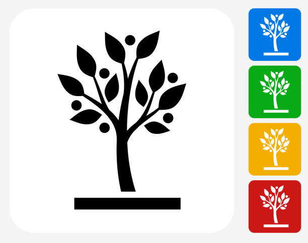 ilustraciones, imágenes clip art, dibujos animados e iconos de stock de árbol creciente diseño gráfico de iconos planos - tree growth cultivated sapling