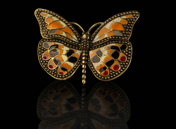 istock Coloured enamel brooch butterfly on black. 509493906