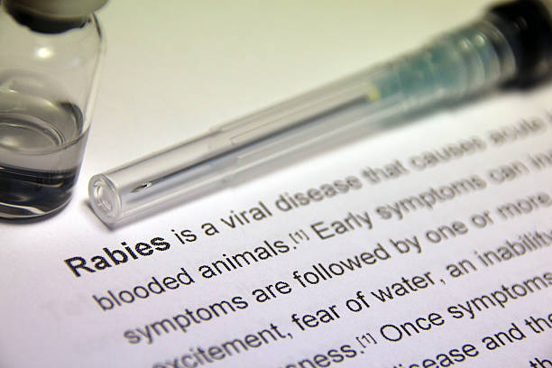 Rabies Pictures | Download Free Images on Unsplash