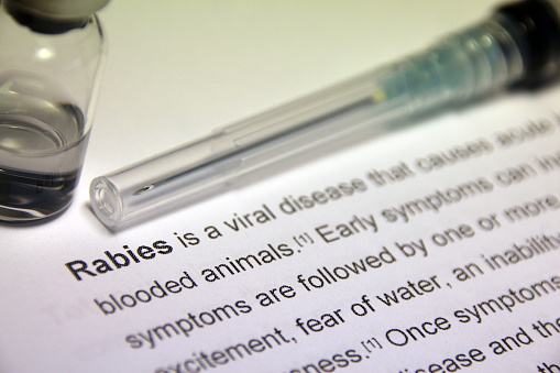 Rabies is a viral disease that causes acute inflammation of the brain in humans and other warm-blooded animals. Early symptoms can include fever and tingling at the site of exposure. These symptoms are followed by one or more of the following symptoms: violent movements, uncontrolled excitement, fear of water, an inability to move parts of the body, confusion, and loss of consciousness. Once symptoms appear, death nearly always results. The time period between contracting the disease and the start of symptoms is usually one to three months; however, this time period can vary from less than one week to more than one year. The time is dependent on the distance the virus must travel to reach the central nervous system.