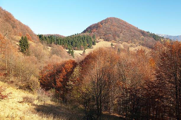 istock Strazovske vrchy, Carpathian mountains, Slovakia 509498572