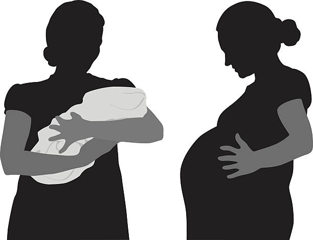 Pregnancy And Newborn A vector silhouette illustration of a mother before and after having a baby.  In one image she holds her newborn in her arms in a blanket and in the other image she puts her hands on her very pregnant belly. change silhouettes stock illustrations