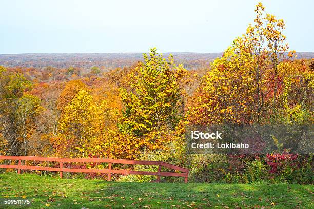 Brown County R Idge Stockfoto und mehr Bilder von Ahorn - Ahorn, Ast - Pflanzenbestandteil, Baum