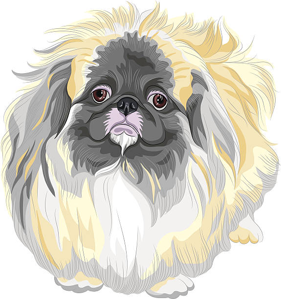 best clippers for pekingese
