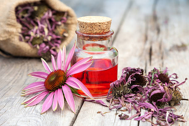 essential oil and coneflowers on wooden rustic table stock photo