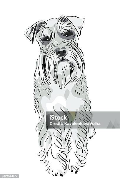 Vector Miniature Schnauzer Dog Stock Illustration - Download Image Now - Schnauzer, Vector, White People