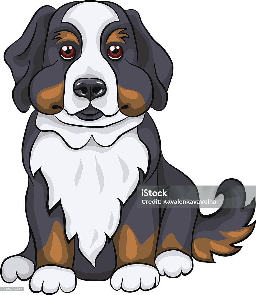 vector cute Bernese Mountain dog puppy smiles color sketch of a close-up dog breed Bernese Mountain Dog puppy sitting Alertness stock vector