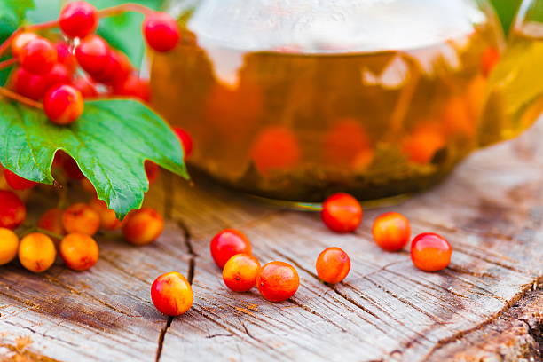 istock green tea with viburnum 509514431