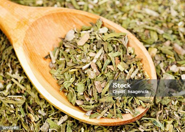 Dried Estragon Spice And Wooden Spoon As Food Background Stock Photo - Download Image Now