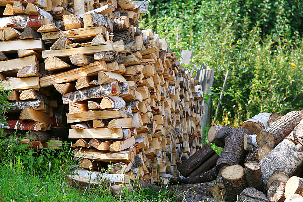 istock Dry chopped firewood logs in pile. 509515753