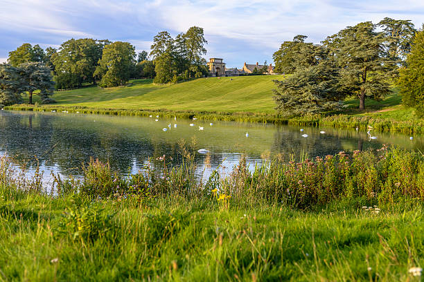 The lake in Blenheim Palace, England The lake in Blenheim Palace, blue sky with some clouds at sunset in Oxfordshire, England duke photos stock pictures, royalty-free photos & images