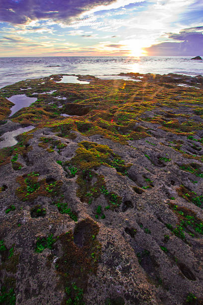 istock Tanah Lot beach, Bali 509516481