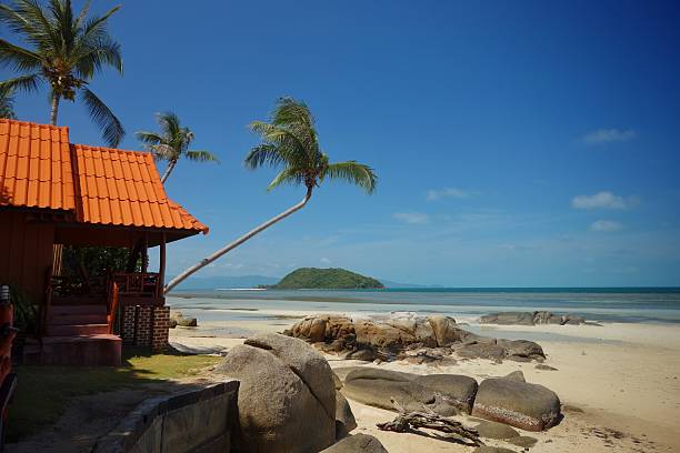 istock House on the beach 509516631