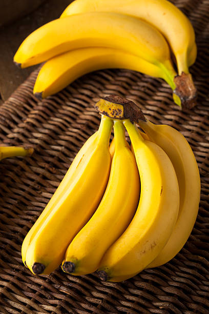 istock Raw Organic Bunch of Bananas 509532944