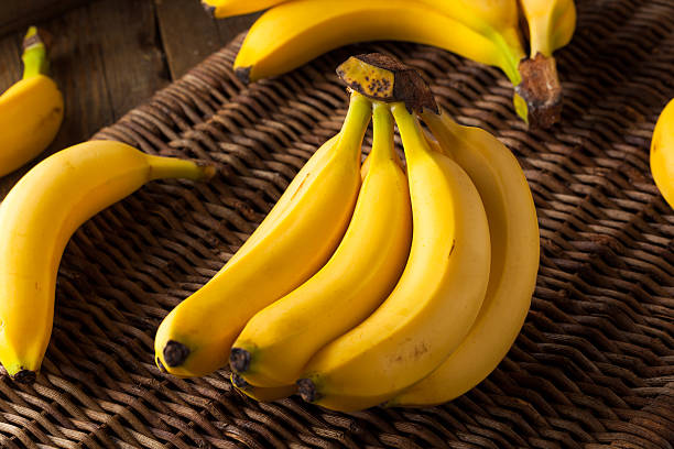 istock Raw Organic Bunch of Bananas 509532962