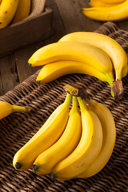 istock Raw Organic Bunch of Bananas 509532966