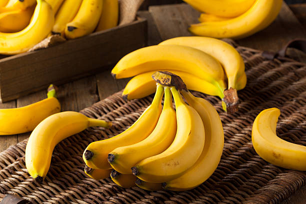 primas orgánicos racimo de plátanos - plátano fruta tropical fotos fotografías e imágenes de stock