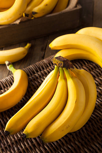 istock Raw Organic Bunch of Bananas 509533102