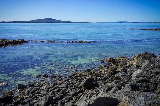 Waitemata and Rangitoto View looking over rocks of the Waitemata harbour looking towards Rangitoto island. Taken from Takapuna, Auckland, New Zealand Waitemata Harbor stock pictures, royalty-free photos & images