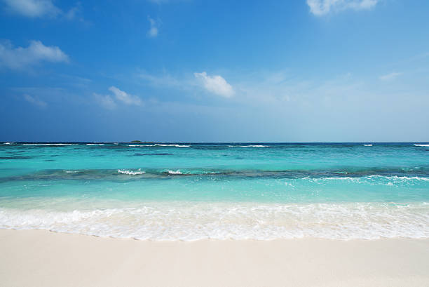 istock Tropical beach and sea background 509534604