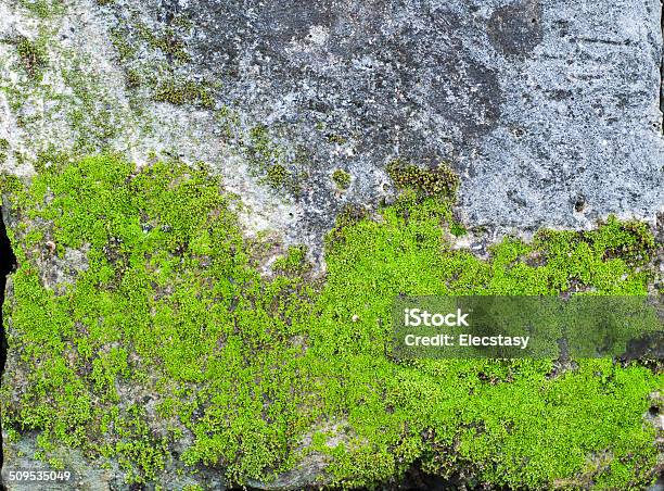 Old Stone Wall With Green Moss Stock Photo - Download Image Now - Abstract, Backgrounds, Brick