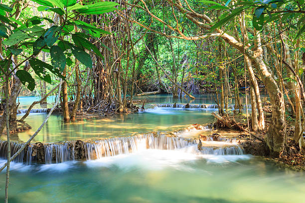 深い森林カーンチャナブリー県の滝 - waterfall erawan tropical rainforest tree ストックフォトと画像