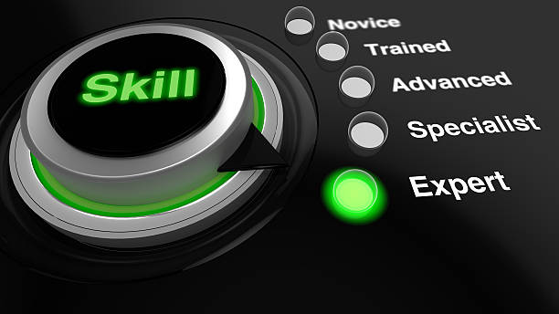 istock Rotary knob with the word skill  turned to expert 509535686