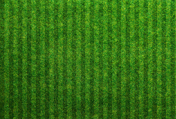 istock Green grass soccer field background 509536806