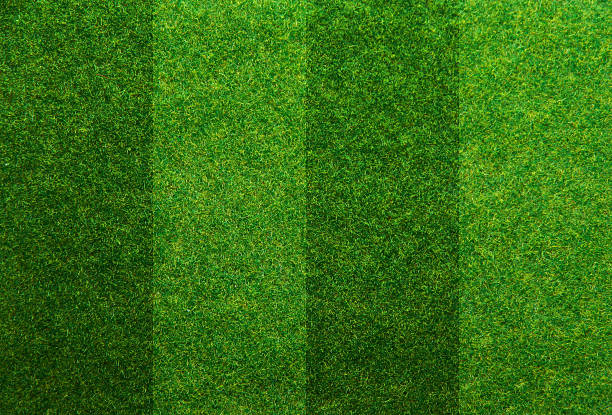 istock Green grass soccer field background 509537556