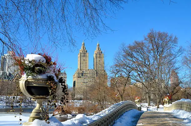 Photo of Central Park, New York City bow bridge in the winter.